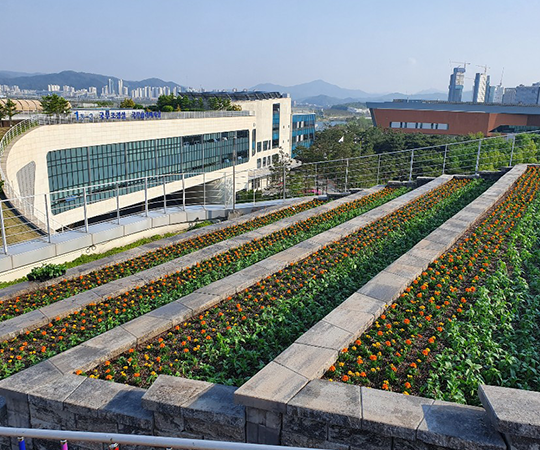 옥상 전망대(계단식 정원) 사진