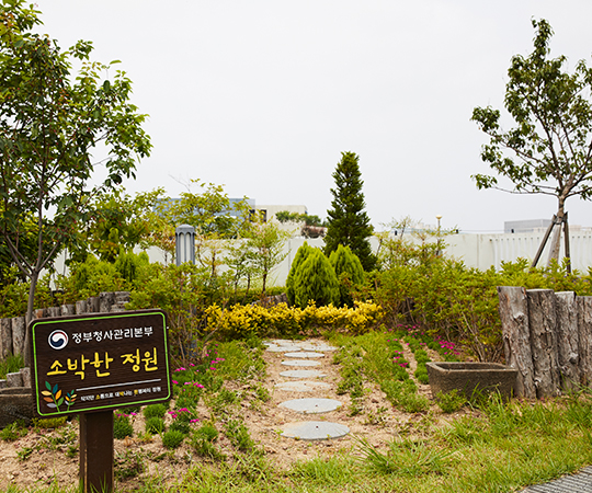 Rustic garden